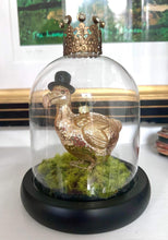 Load image into Gallery viewer, The Professor Dodo Display
