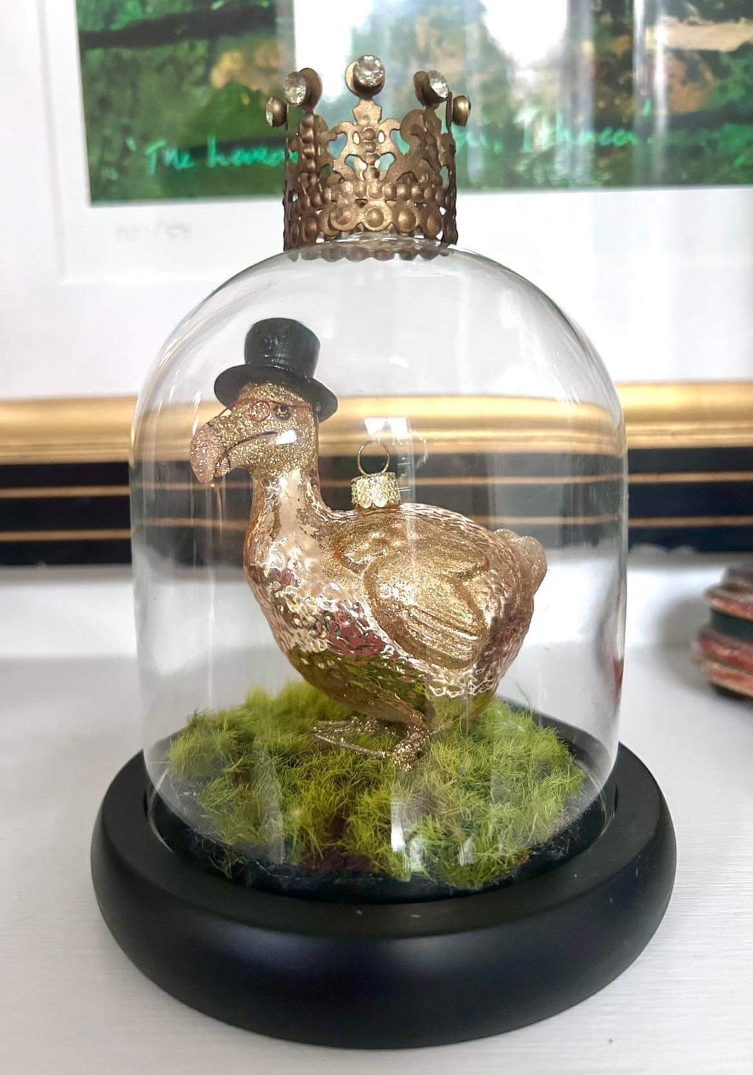 The Professor Dodo Display