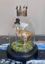 Load image into Gallery viewer, The Professor Dodo Display
