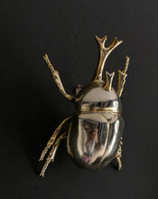 Load image into Gallery viewer, Gold Japanese Rhinoceros Beetle
