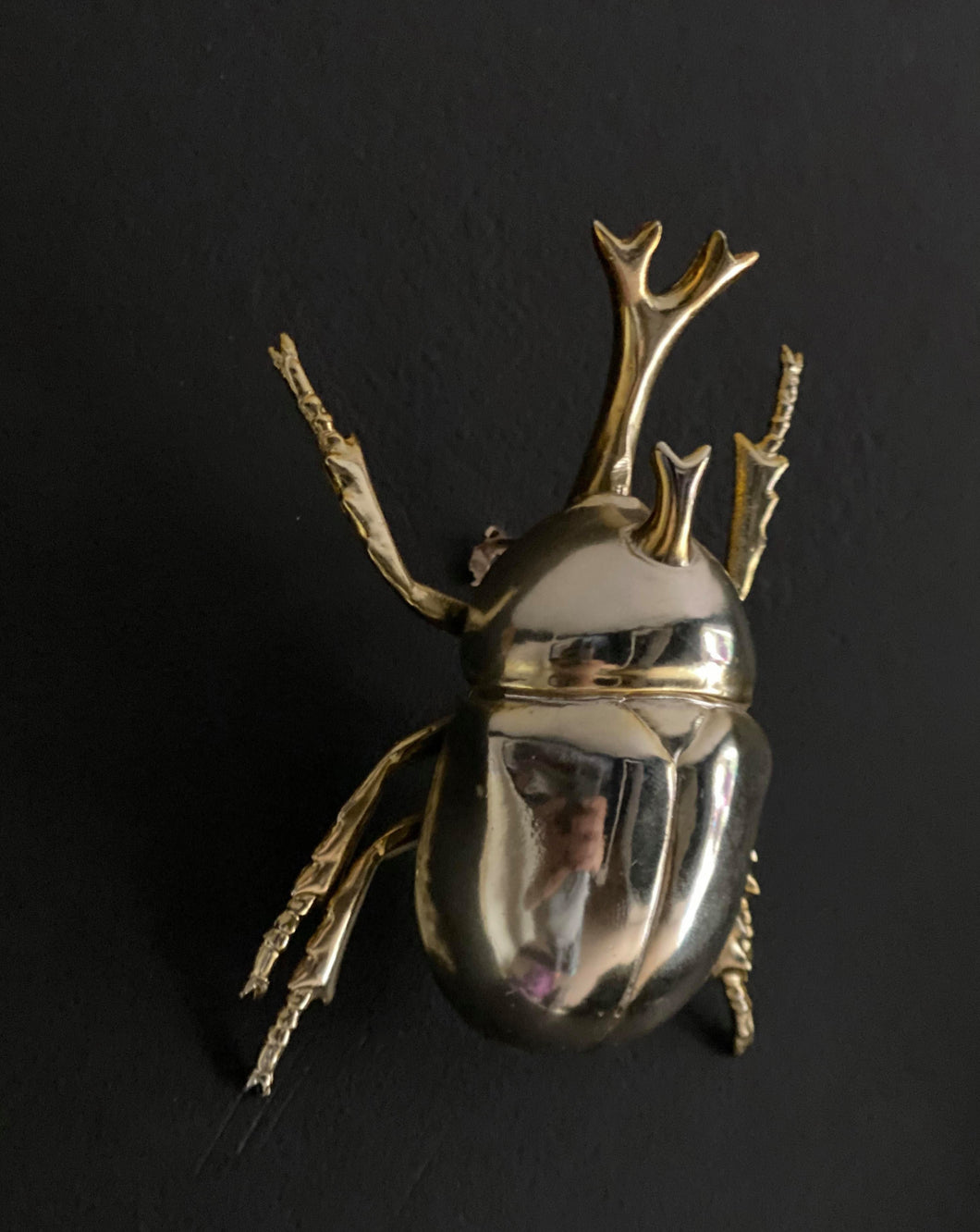 Gold Japanese Rhinoceros Beetle