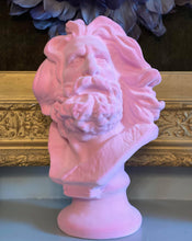 Load image into Gallery viewer, Pink Flocked Bust Of Marseillaise
