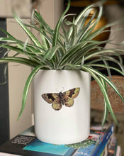 Load image into Gallery viewer, Butterfly Porcelain Planter
