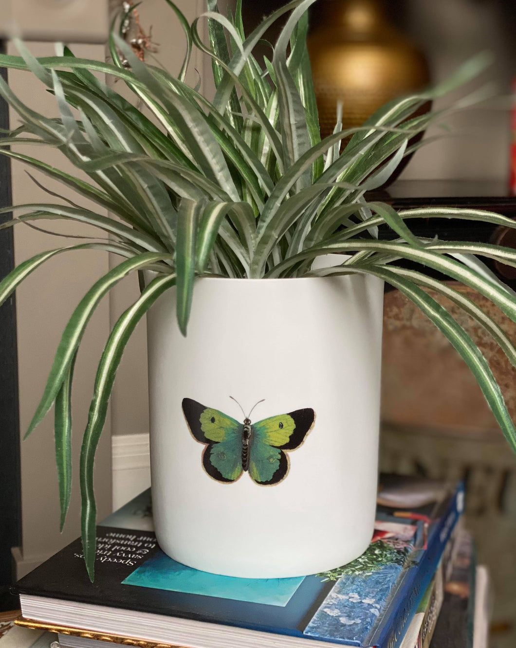 Butterfly Porcelain Planter