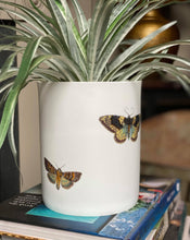 Load image into Gallery viewer, Butterfly Porcelain Planter
