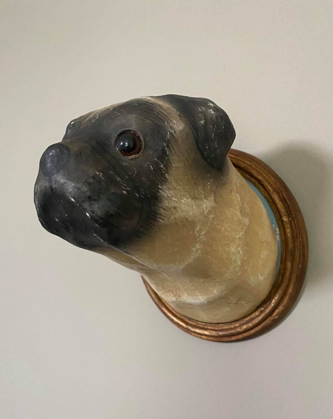 Wall Mounted Pug on Plaque