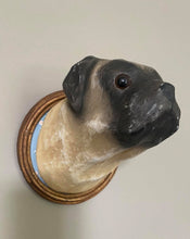 Load image into Gallery viewer, Wall Mounted Pug on Plaque
