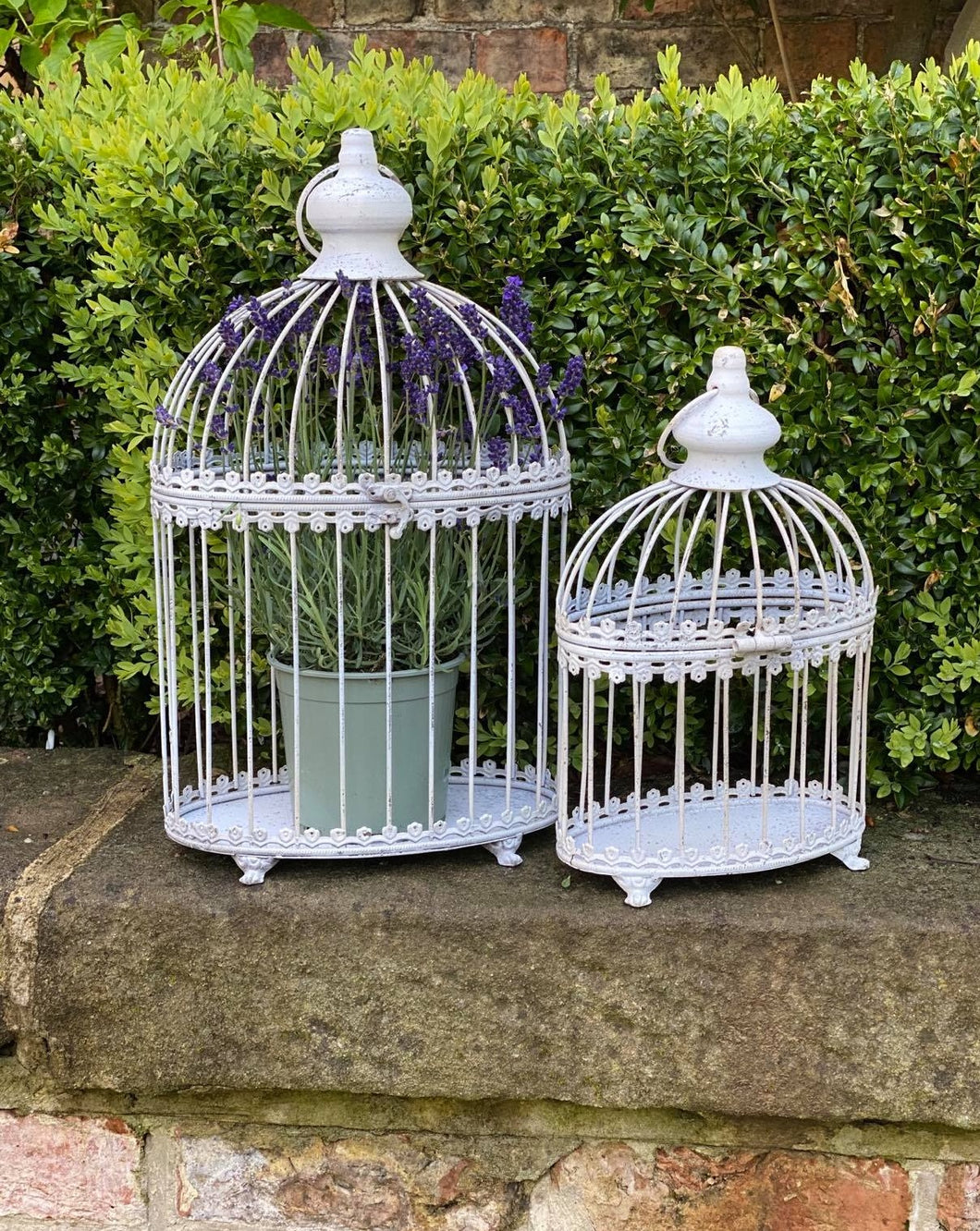 Cream Oval Bird Cage